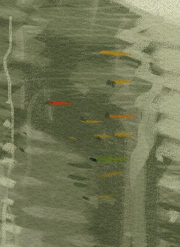 遇到一条鱼（图ZMzQ3MzUxMTA4） - 绘本 - 站酷设计师绿肥肥原创素材 - 站酷ZCOOL