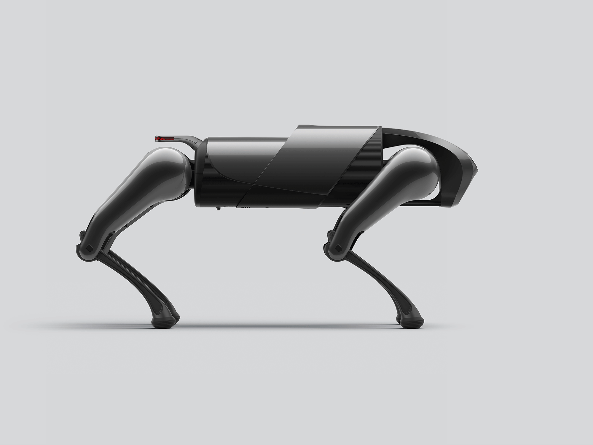 小米CyberDog“铁蛋”|修图