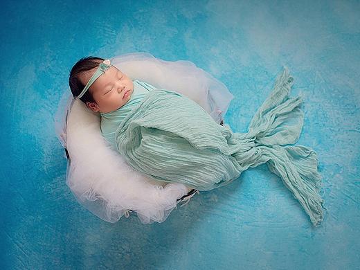 一天到晚游泳的鱼