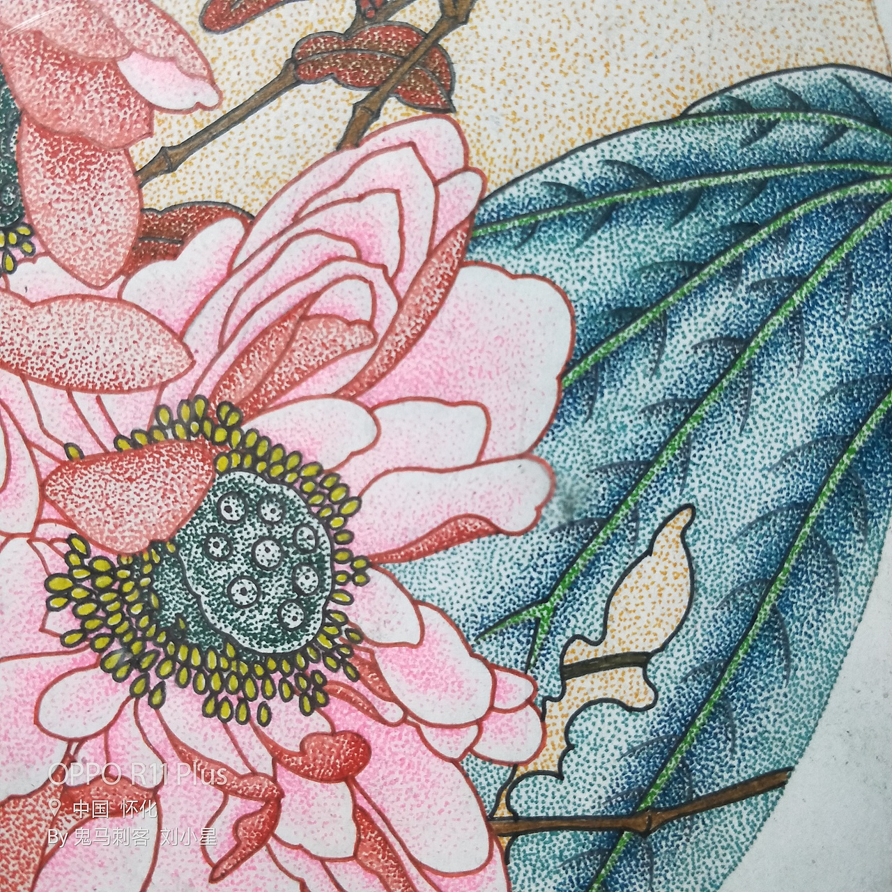 鬼马刺客彩色钢笔点绘:荷花.