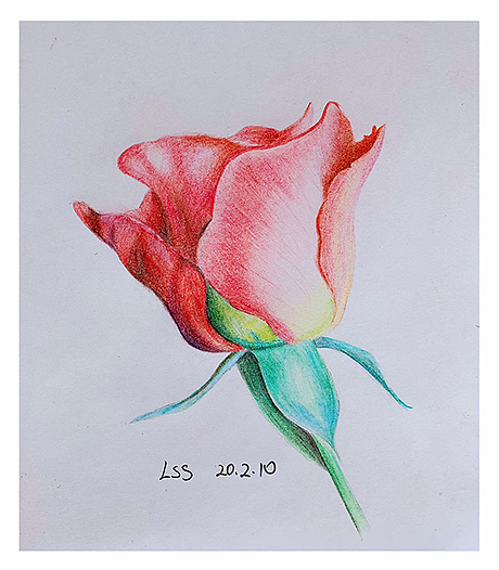 即使再黑暗,也会有莹莹之光