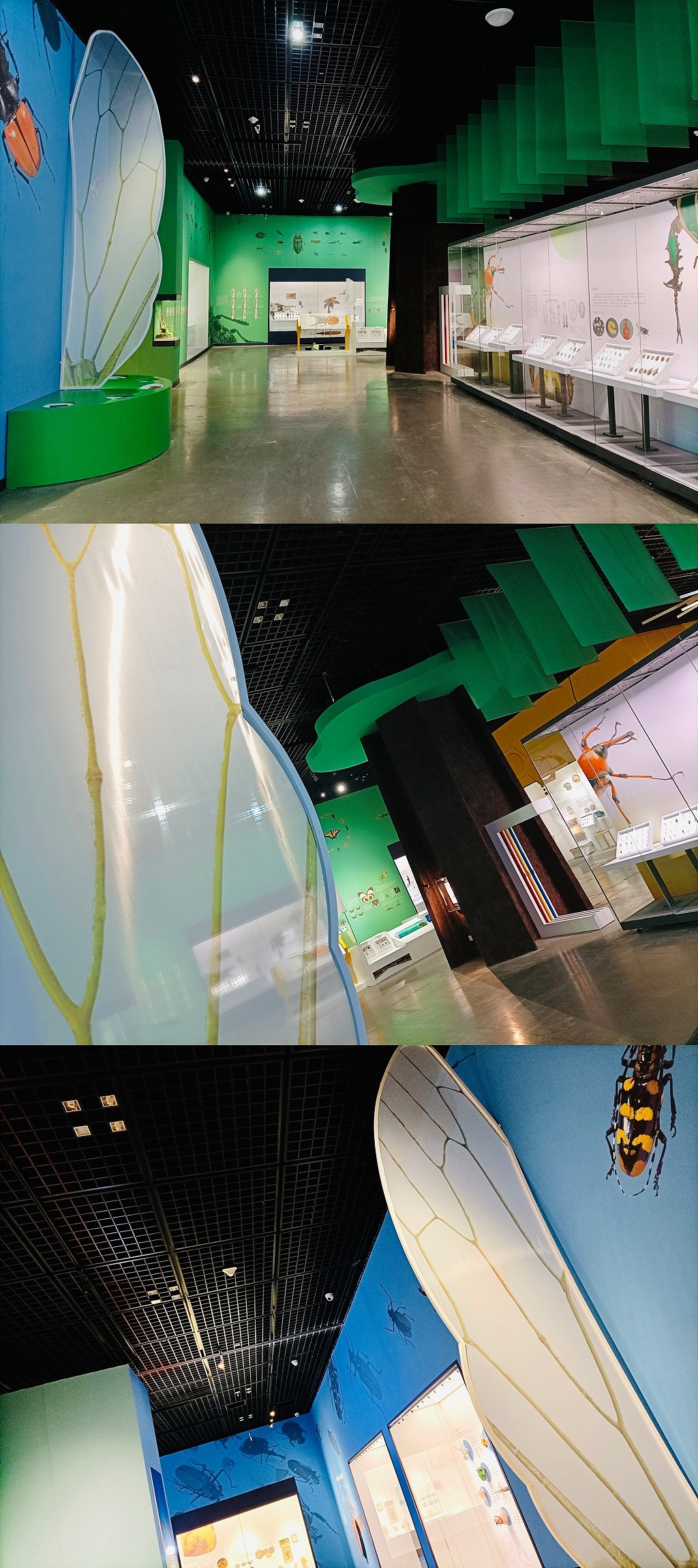 《虫.逢》世界珍稀昆虫标本展——落地展现总结(图ZMjQxOTI1OTQw) - 家装设计 - 站酷设计师画画的空间设计师原创素材 - 站酷ZCOOL