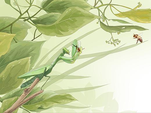 《法布尔昆虫记-螳螂篇》