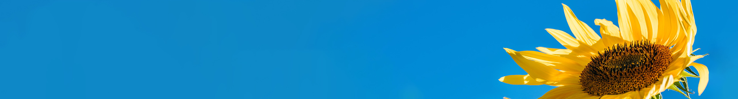 無厘頭的小情緒32的個(gè)人主頁（封面預(yù)覽） - 主頁封面設(shè)置 - 站酷設(shè)計(jì)師無厘頭的小情緒32原創(chuàng)素材 - 站酷ZCOOL