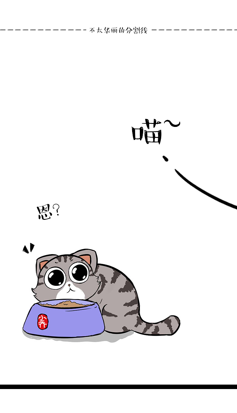 旧爱不如新欢,人如此,猫亦是如此