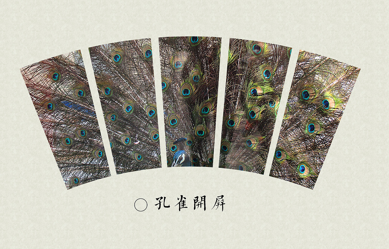 奇珍记 动物园特辑