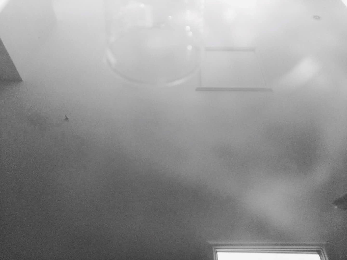 你_吱吱不吱声站酷ZCOOL