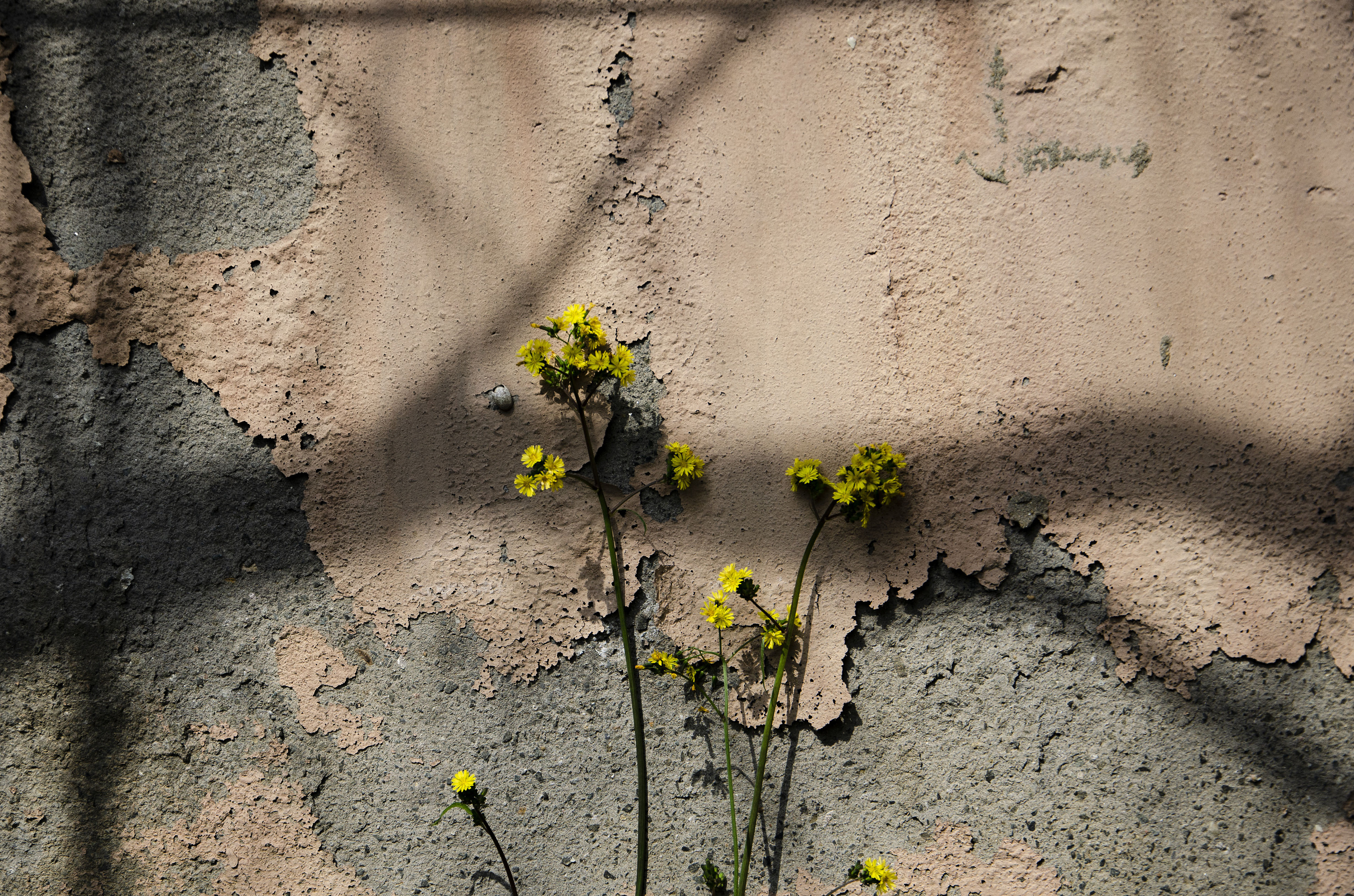 角落里|摄影|风光|n7n7 - 原创作品 - 站酷 (zcool)