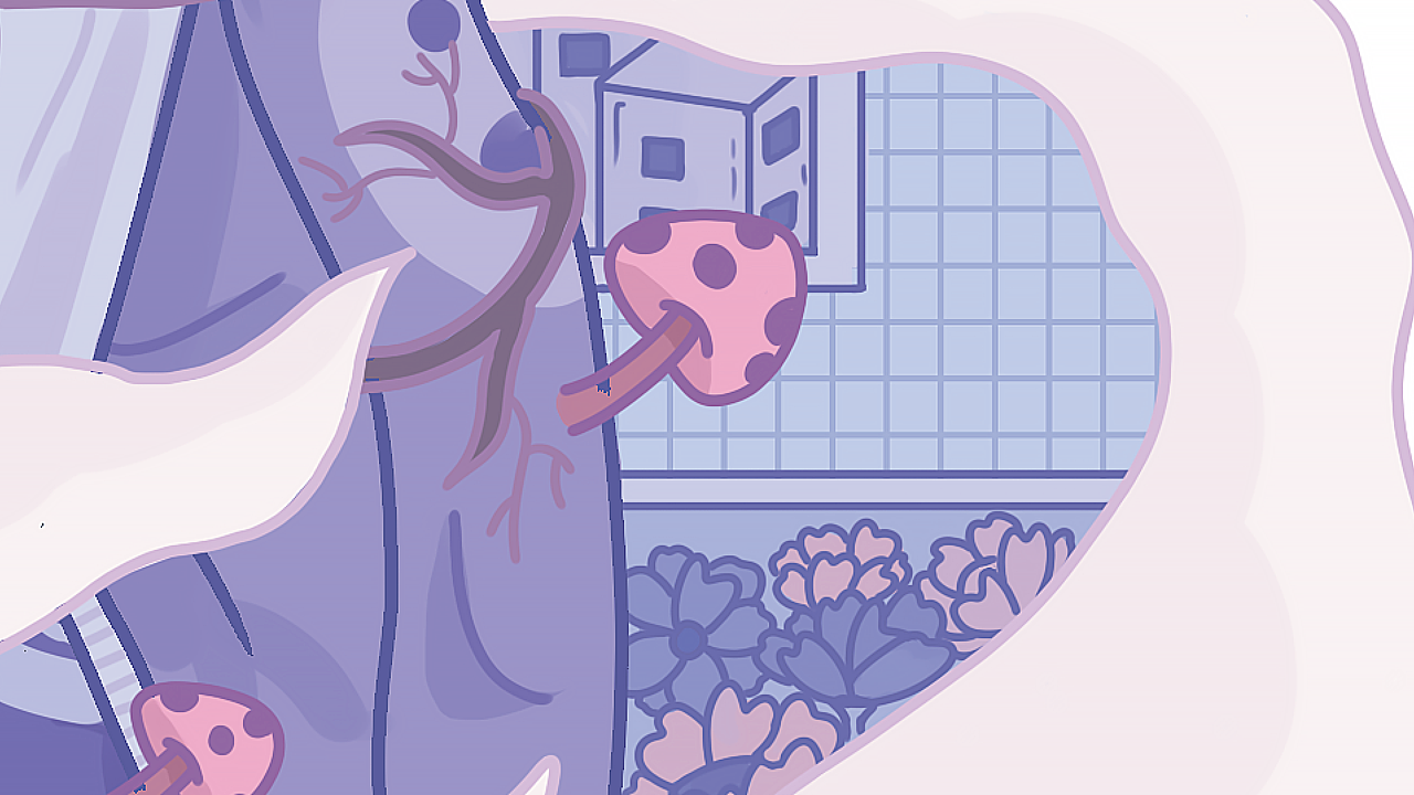植物与人系列（图ZMjAzMzY3ODA0） - 商业插画 - 站酷设计师绘画的小熊艾尼原创素材 - 站酷ZCOOL