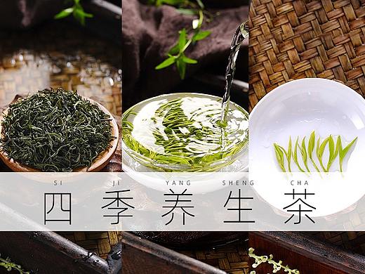 养生茶摄影 | 特级紫阳毛尖明前春茶绿茶