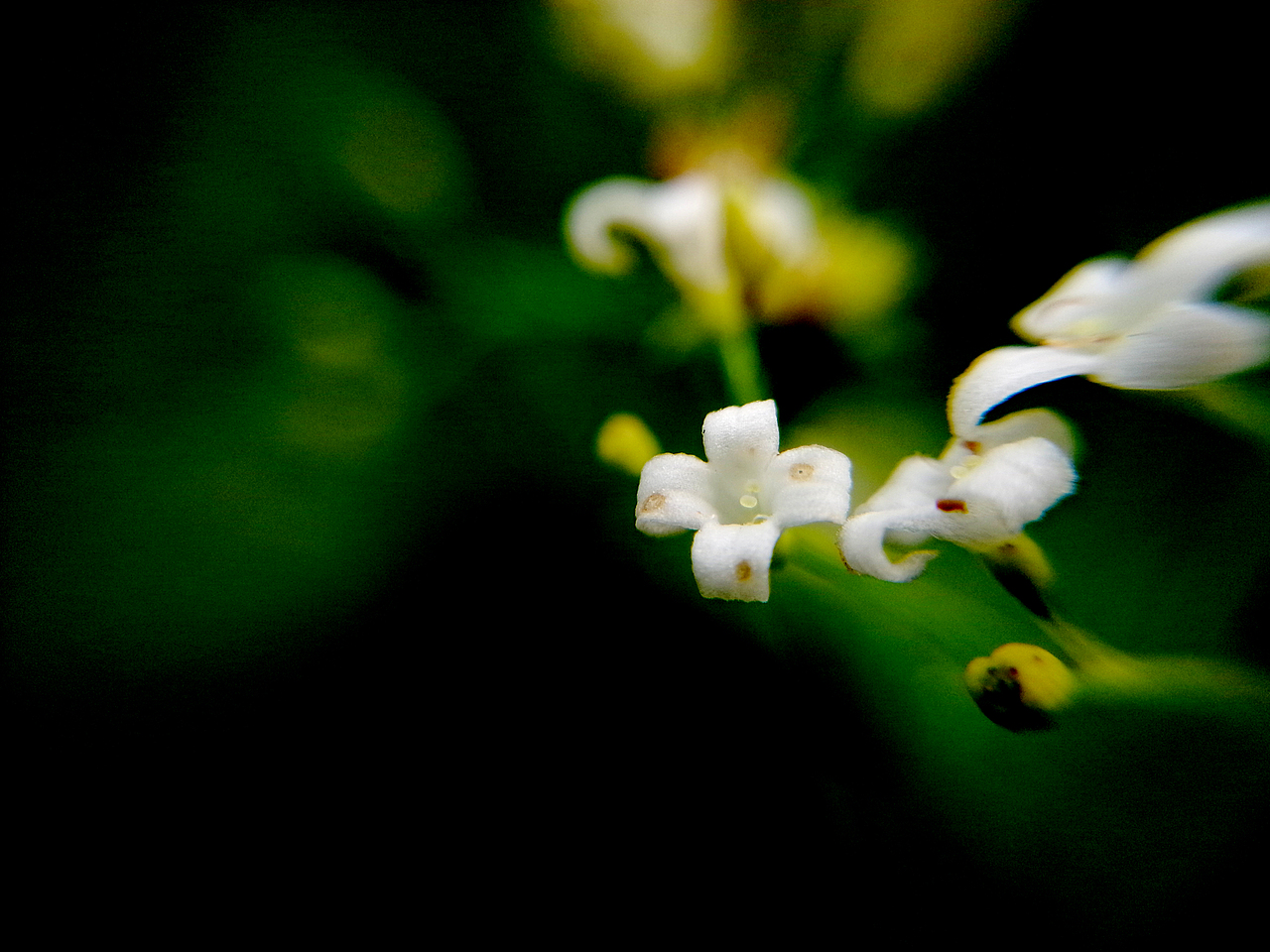 手机摄影拍拍拍~（图ZNTQyODY5NDg=） - 产品摄影 - 站酷设计师一大口黑锅原创素材 - 站酷ZCOOL