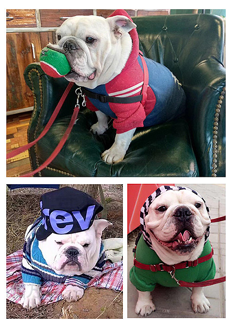 .................................................................
<br>.................................................................<br><br>【2011年初版】:<br><br>