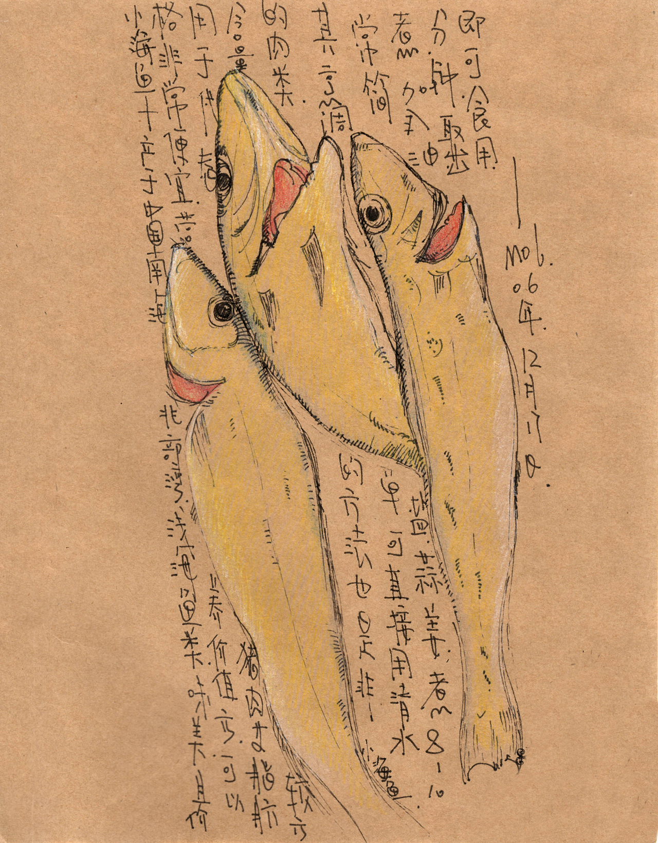 这个关于海鲜的插画手稿(一)