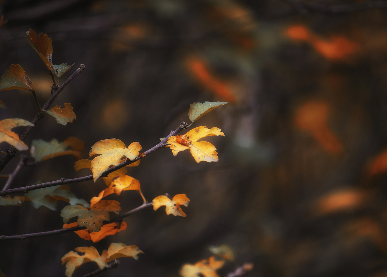 自然四季风光（图ZMzQ3NjEzMjMy） - 风光摄影 - 站酷设计师瀟殇原创素材 - 站酷ZCOOL