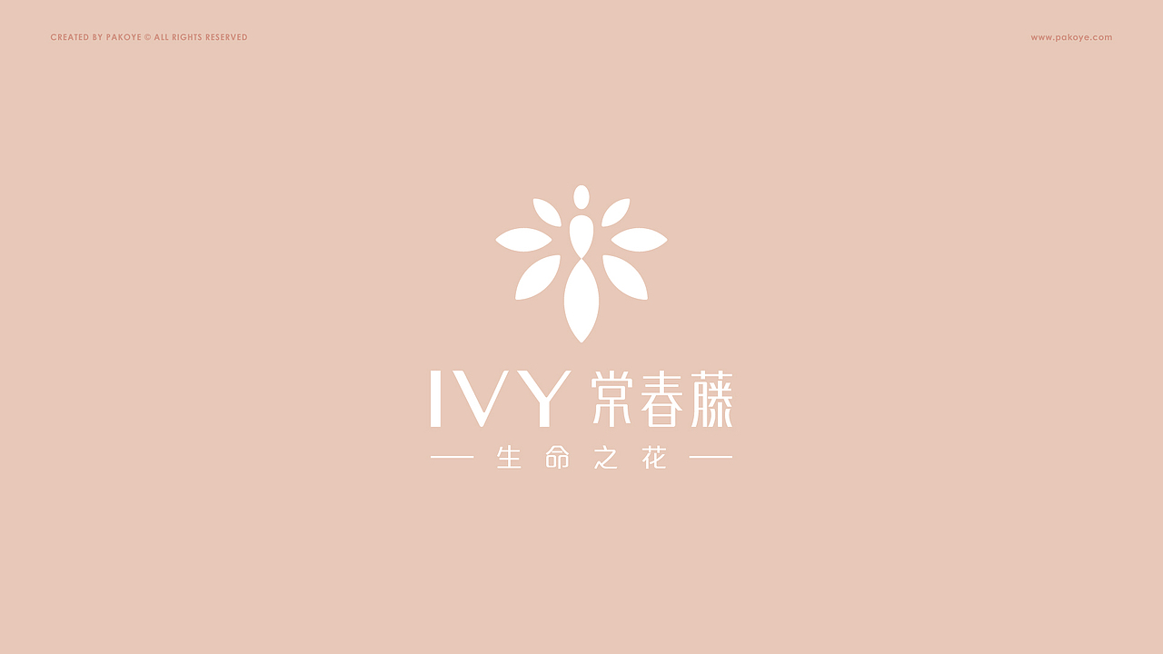 Pakoye LOGO 作品集