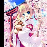 Flatter的头像