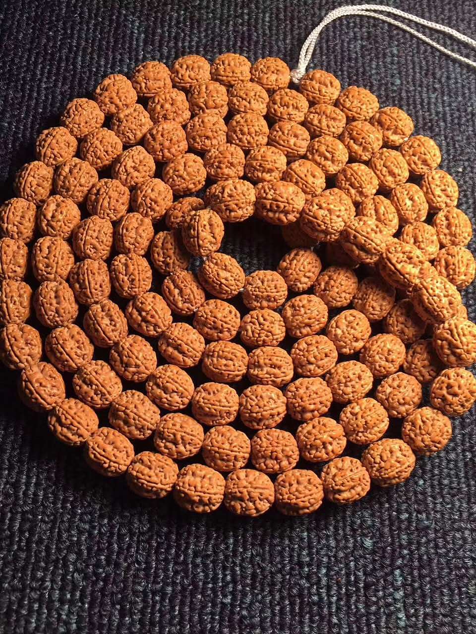 龙掌柜-印尼顶级一代盘龙五瓣原桩