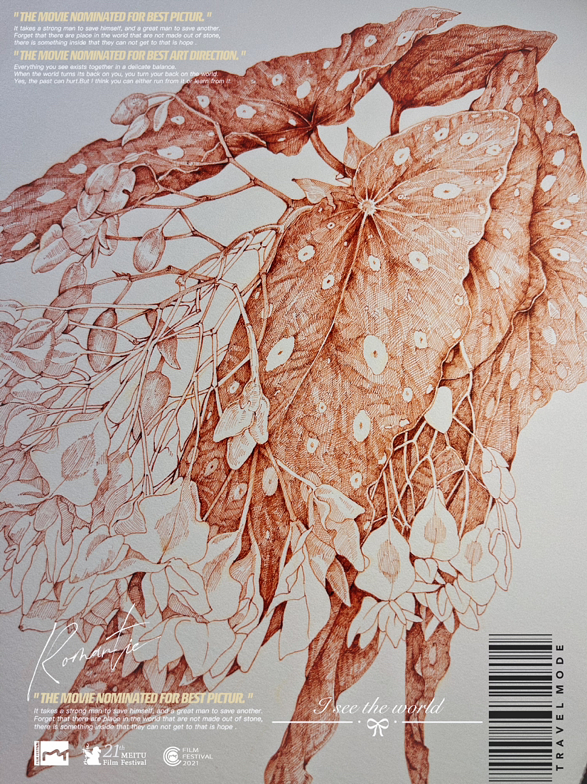 蘸水笔针管笔|鳟鱼秋海棠