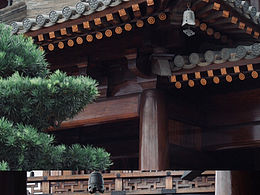 国庆带娃出去溜溜