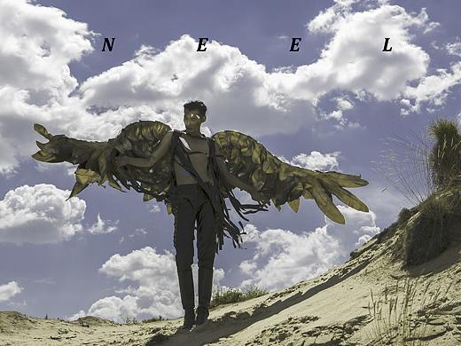 你若有翅 无论是否绚彩还是被折伤 请飞在市井之外  