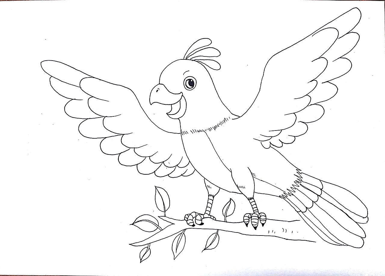 《鸟为什么是鸟儿?》英文绘本