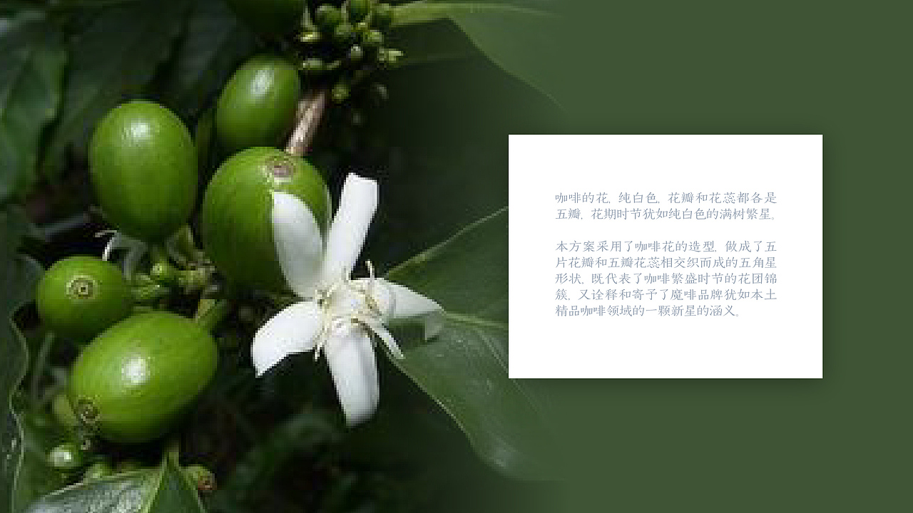 【魔啡moffee】咖啡品牌视觉系统设计（图ZNzYxNzE3OTI=） - 品牌 - 站酷设计师vita30原创素材 - 站酷ZCOOL