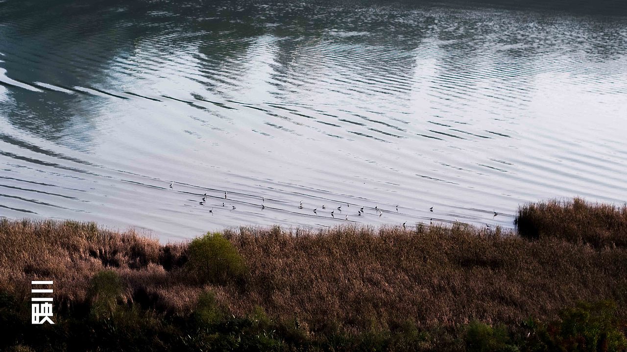 南部县禹迹岛湿地公园（图ZMjU5NjE1MDI4） - 环境/建筑摄影 - 站酷设计师建筑摄影师黄鹏程原创素材 - 站酷ZCOOL