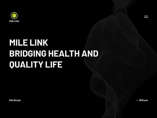 Mile Link Web Design