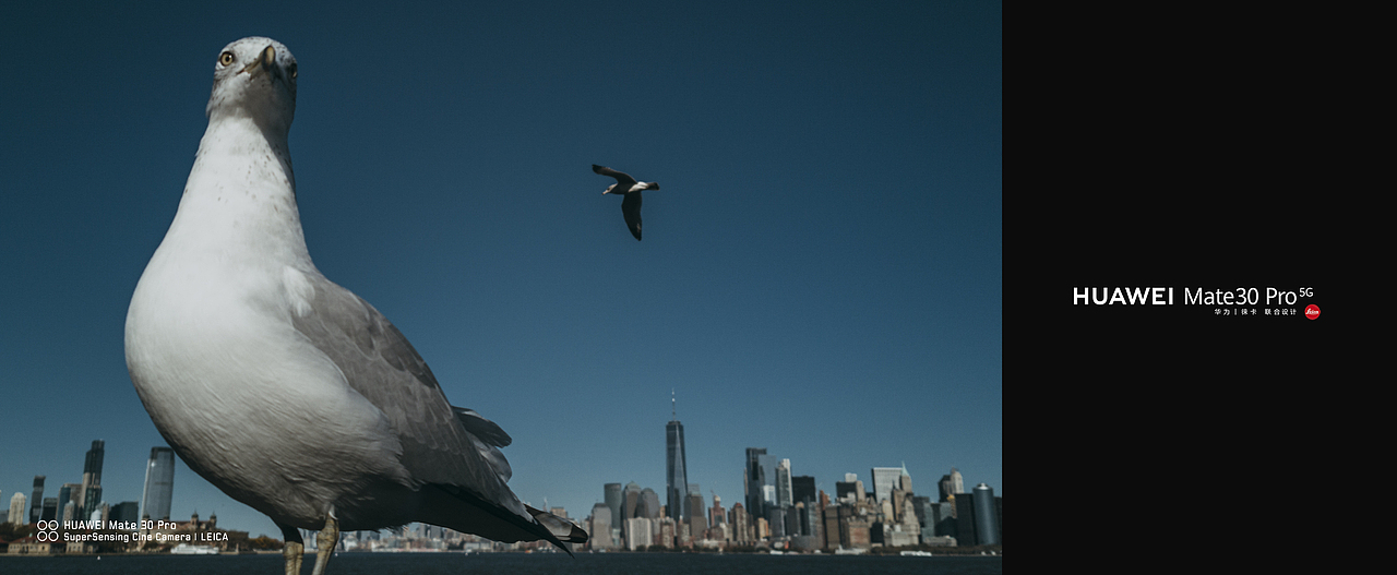 华为Mate30 Pro纽约(曼哈顿)拍摄样张6