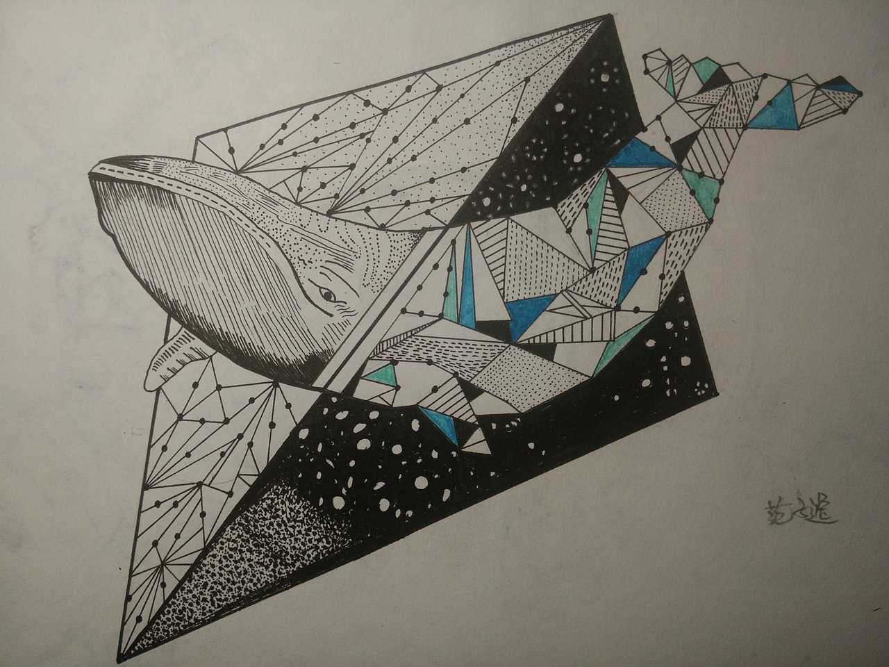 装饰图案-动物-临摹（图ZOTAzOTcwOTY=） - 图案 - 站酷设计师Amy_van0322原创素材 - 站酷ZCOOL