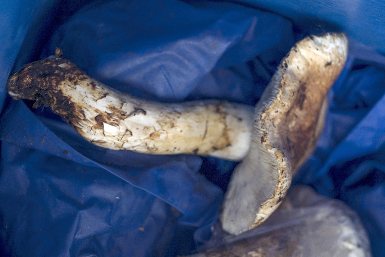 摄影笔记丨香格里拉（图ZMTI4NzE2Mzcy） - 人文/纪实摄影 - 站酷设计师摄影师程昌原创素材 - 站酷ZCOOL