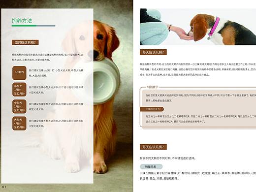 宠物画册设计