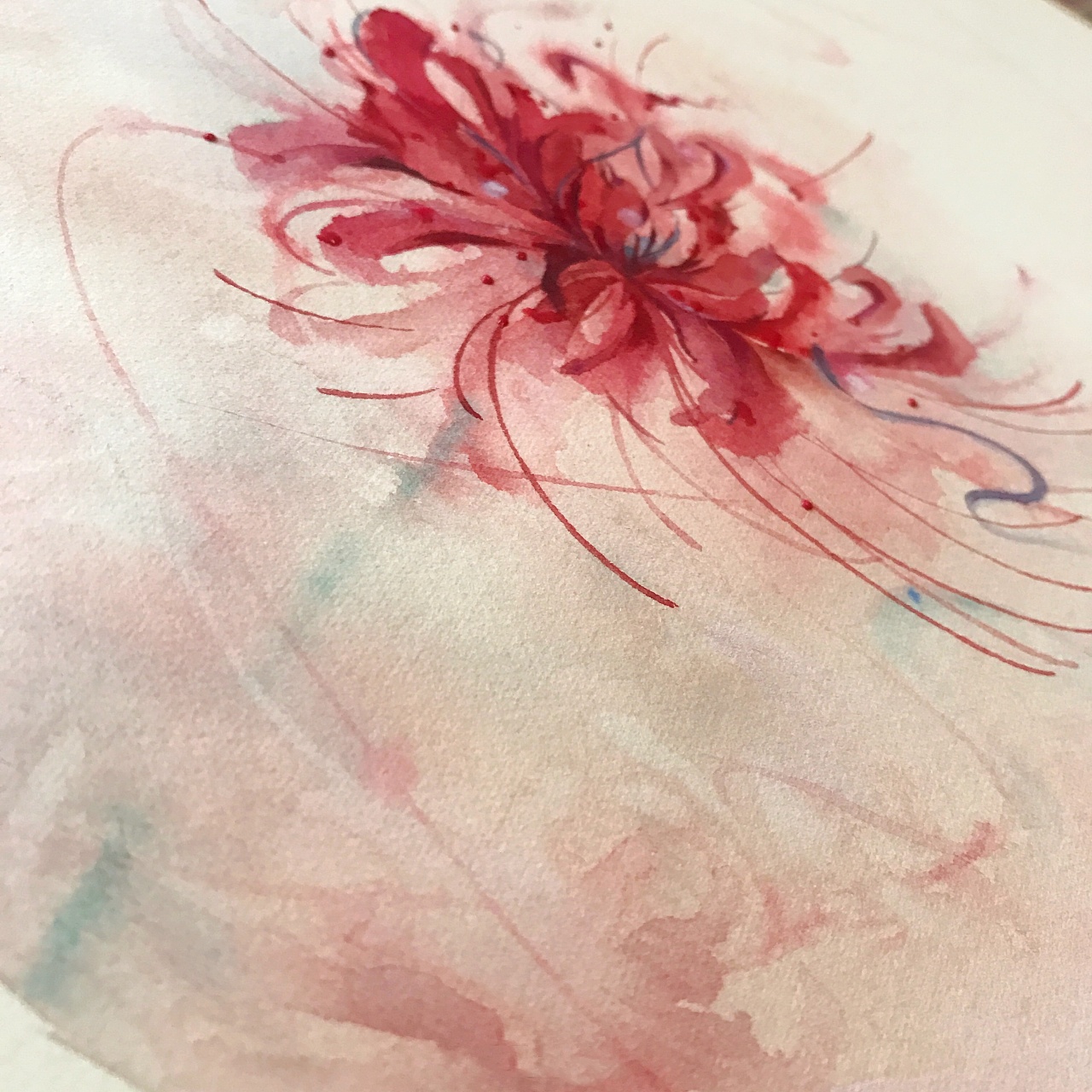 国风水彩|彼岸花