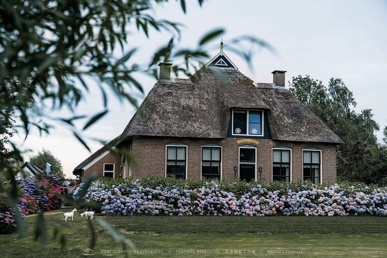 荷兰必去景点打卡