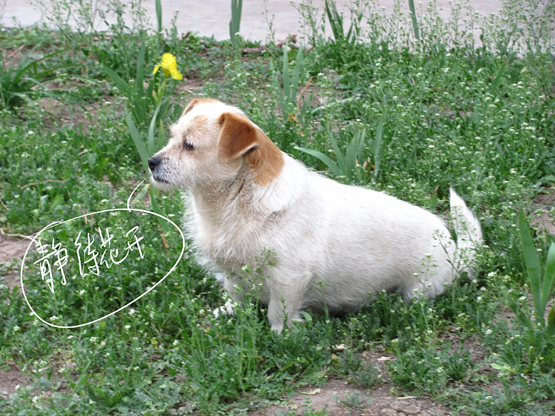 我结交了一群新朋友（图ZMjc2MjE3OTY=） - 文案/策划 - 站酷设计师画师x如也原创素材 - 站酷ZCOOL