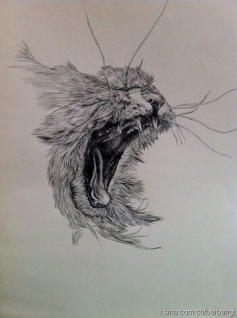 画猫（图ZMjY4MzgzNg==） - 艺术插画 - 站酷设计师北邦原创素材 - 站酷ZCOOL