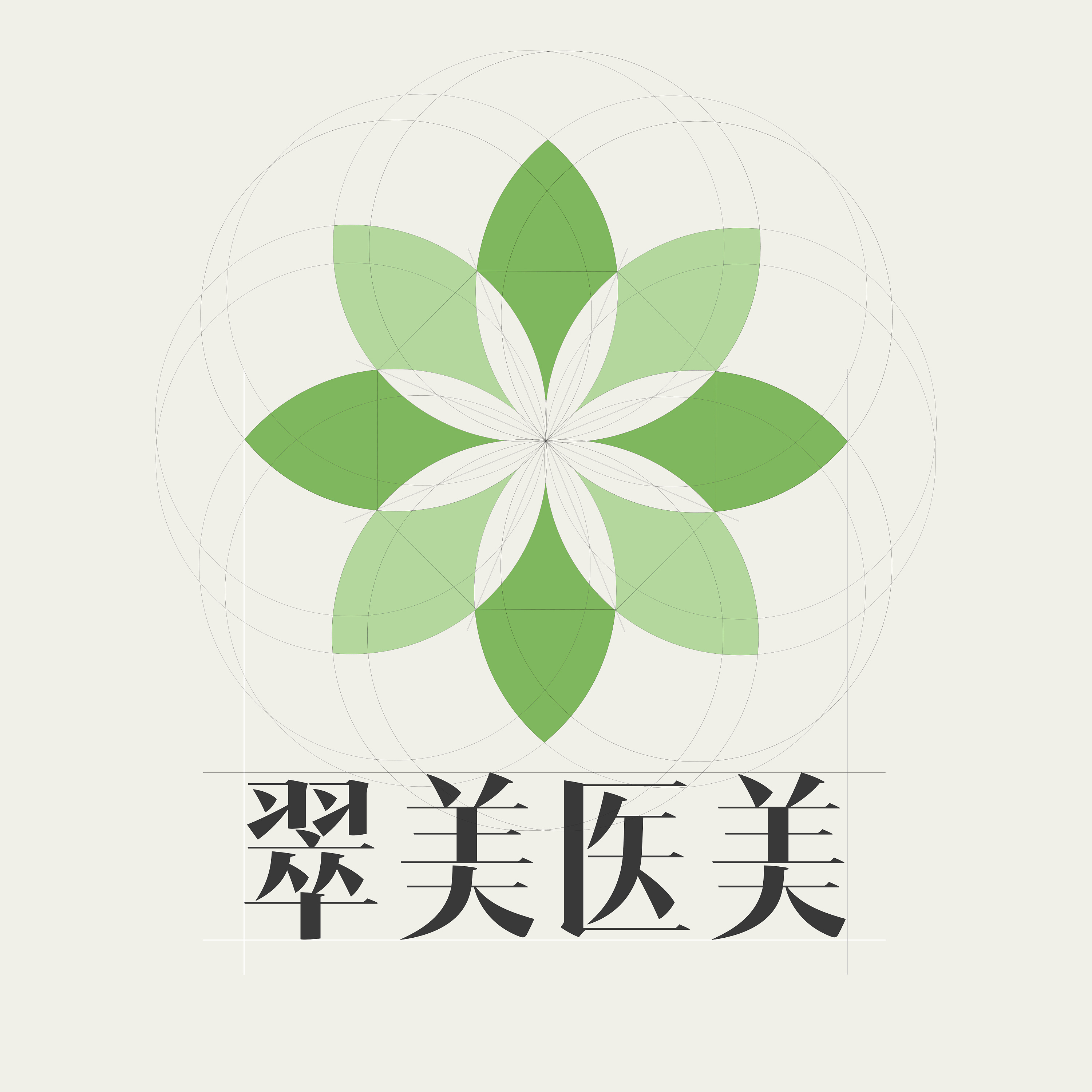 2017—翠美医美logo设计