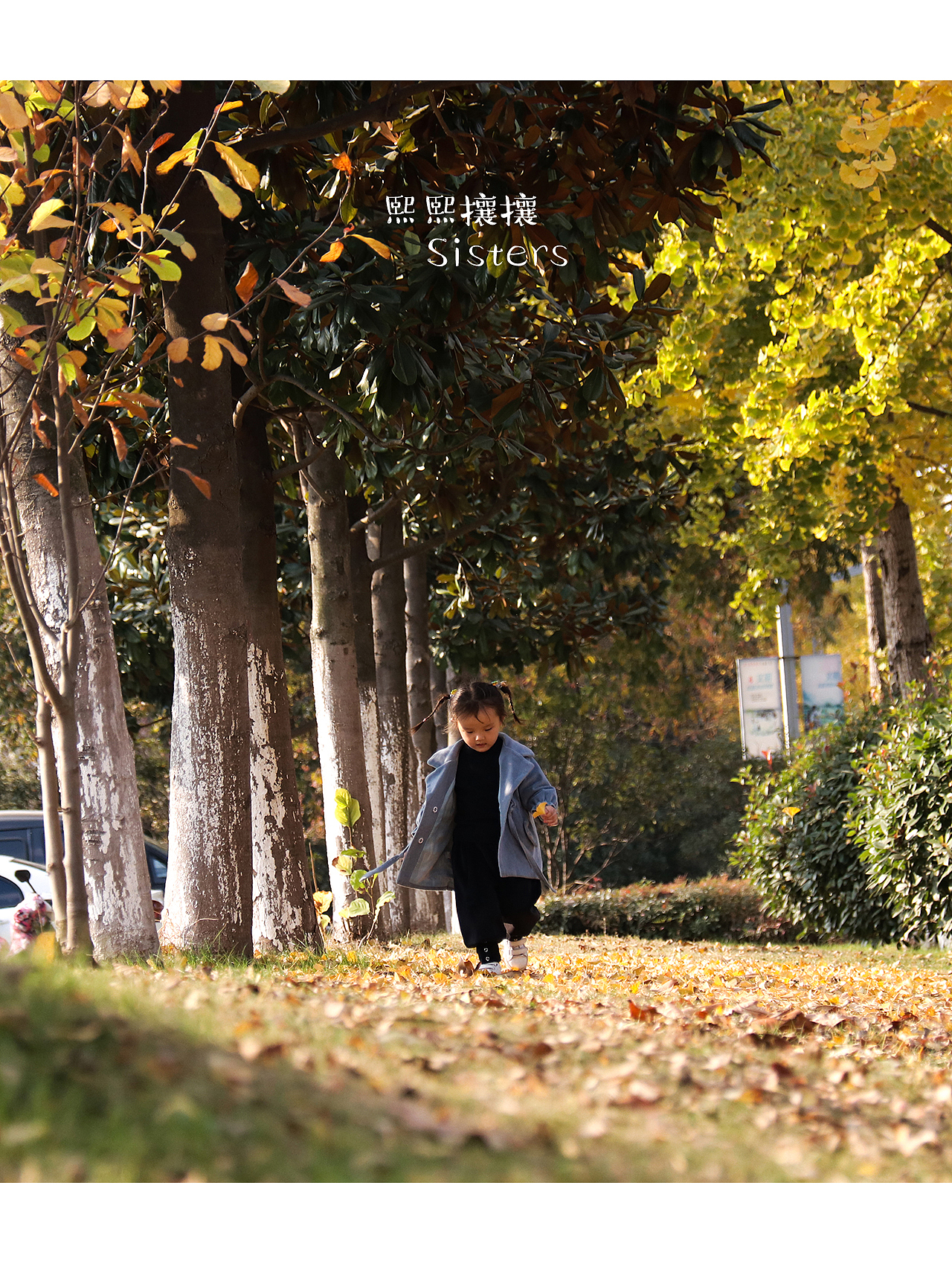 我的熙熙攘攘拍摄——秋天落叶（图ZMTgzMzcyMDc2） - 人像摄影 - 站酷设计师我的熙熙攘攘原创素材 - 站酷ZCOOL