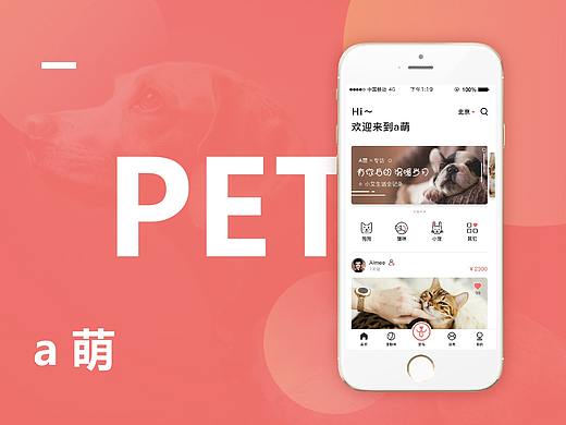 宠物领养项目总结三