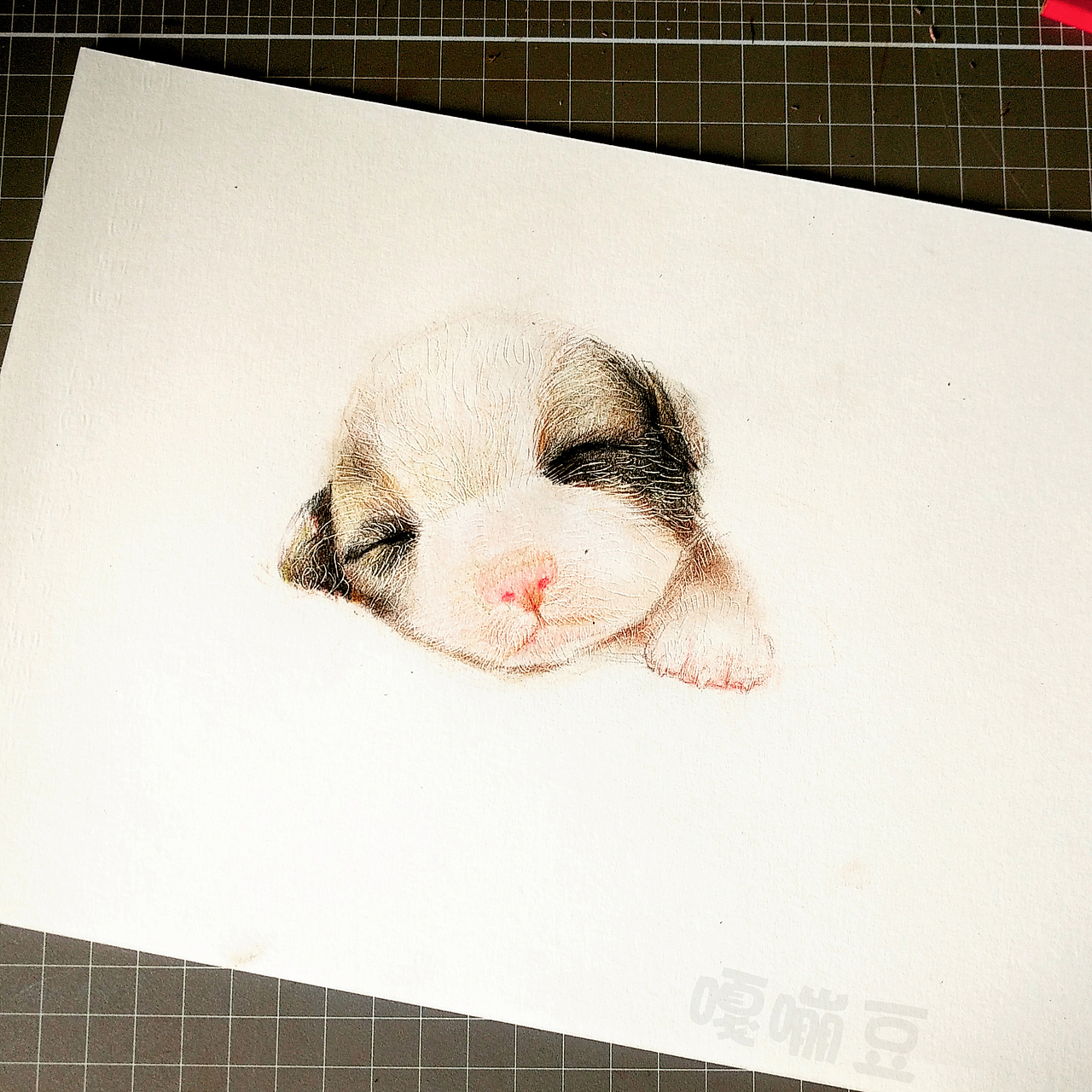 彩铅手绘,9张萌萌哒小奶狗