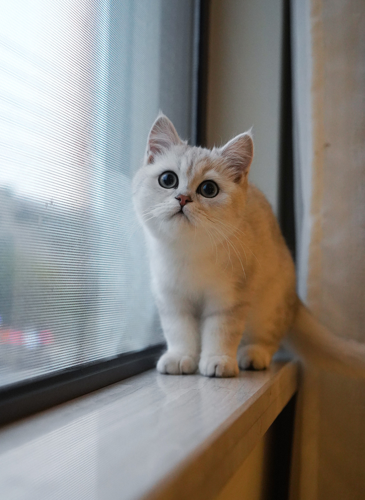 摄于六个月—哔哩