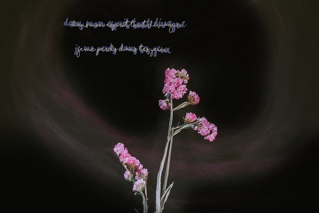 勿忘我（图ZMjA3MTM2NDMy） - 产品摄影 - 站酷设计师丶荧光乌贼原创素材 - 站酷ZCOOL