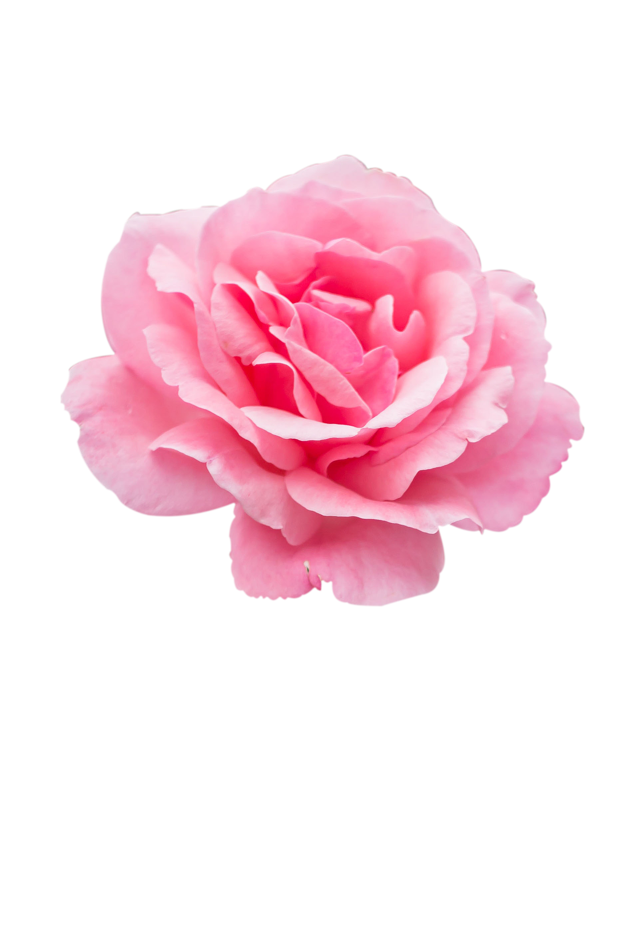 免扣图素材(png.)