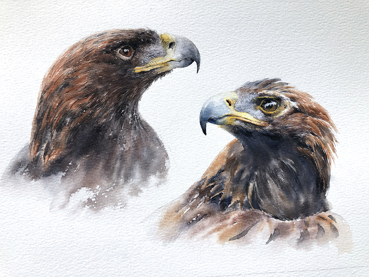 一组水彩作品 广州的朋友有机会一起交流（图ZMjA2ODk0NTI4） - 其他 - 站酷设计师只会画车的男孩原创素材 - 站酷ZCOOL