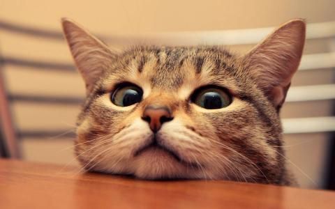 HH月光曲的個(gè)人主頁（背景預(yù)覽） - 主頁背景設(shè)置 - 站酷設(shè)計(jì)師HH月光曲原創(chuàng)素材 - 站酷ZCOOL