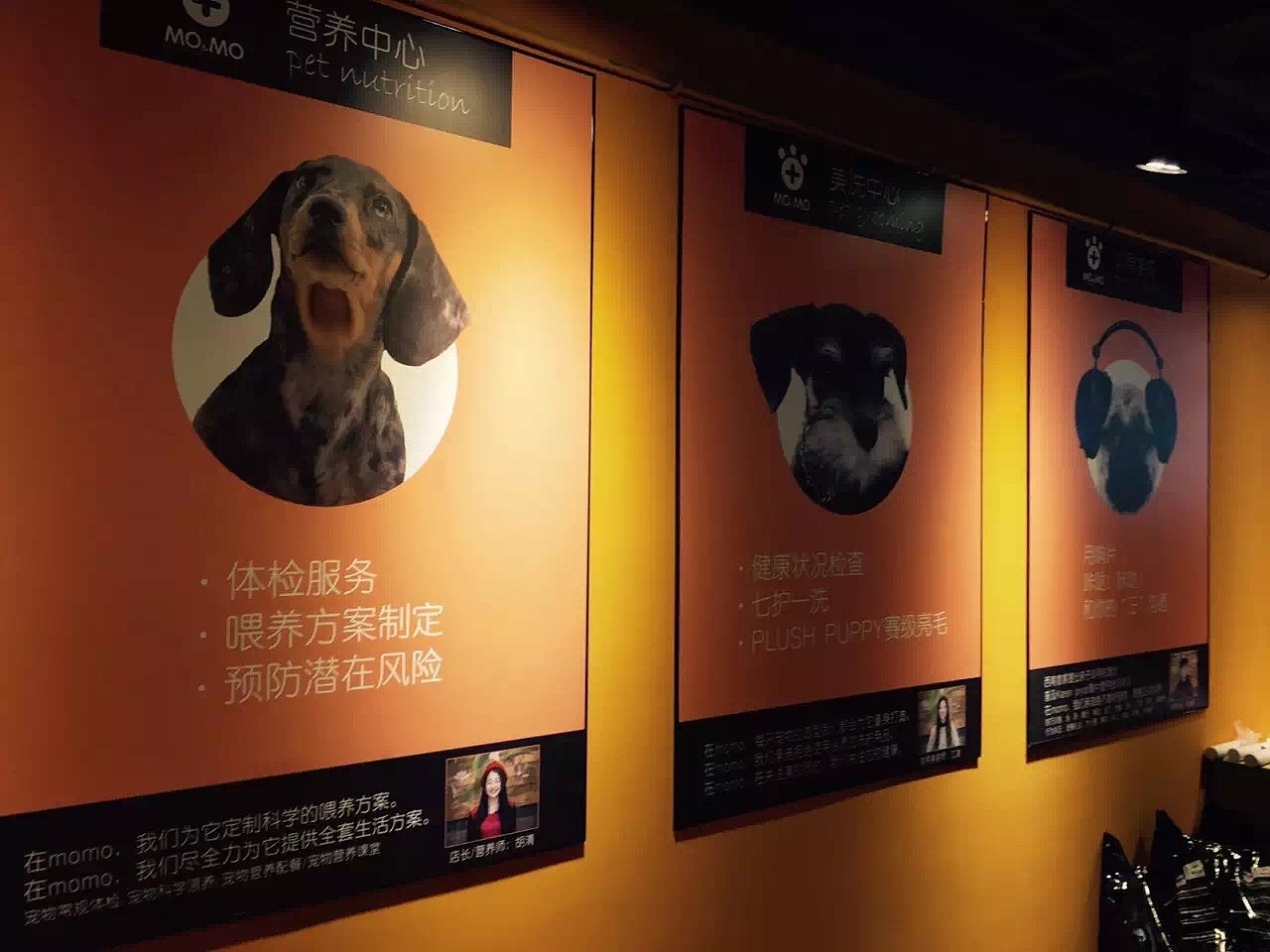 MOMO宠物店完工照-成都宠物店设计|工业风宠物店装修