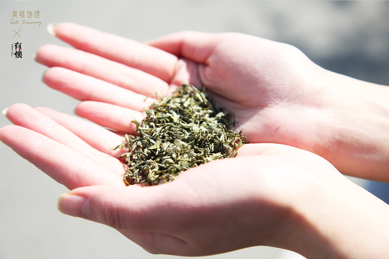【有怀-山泉煎茶】2019碧螺春茶礼