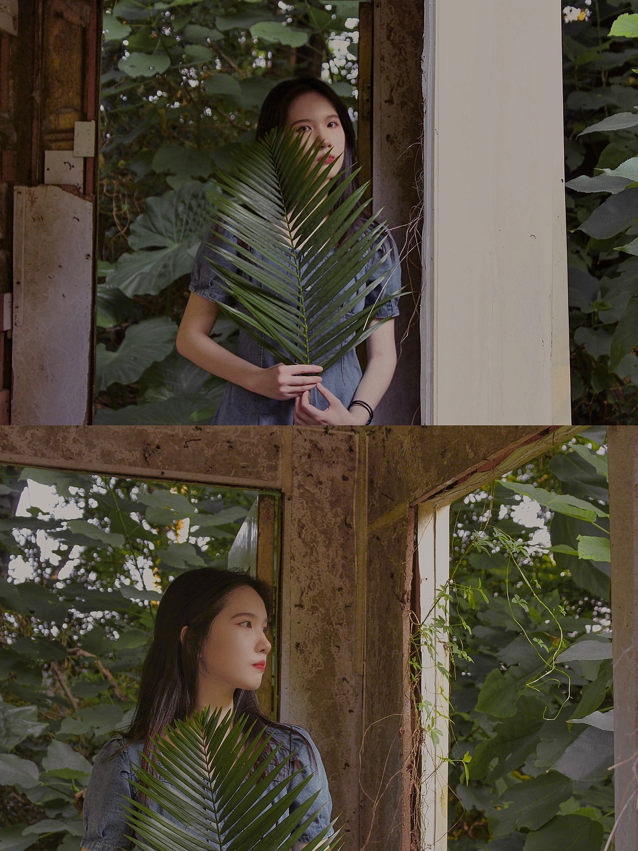 那些同回忆并行的光✨