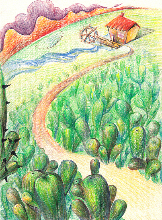 仙人掌的秘密——彩铅绘本练习(图ZMjc1MTc5Mjg=) - 儿童插画 - 站酷设计师二三汪原创素材 - 站酷ZCOOL