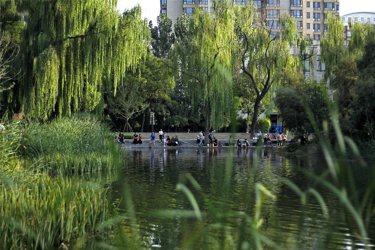 太原龙潭公园栖凤湖湿地